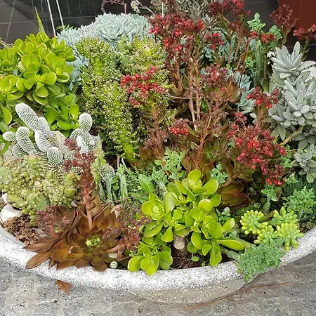 בית אירוח Near The Airport Maía