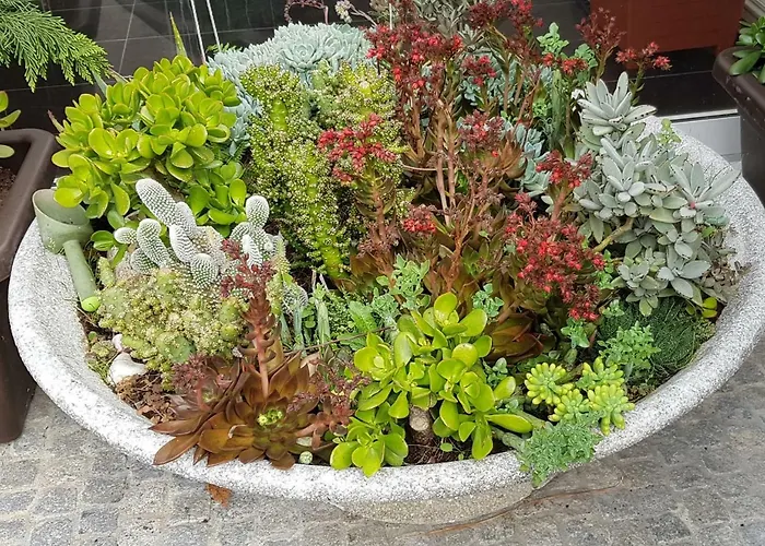 בית אירוח Near The Airport Maía